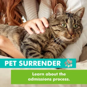 Pet Surrender - Kyhumane