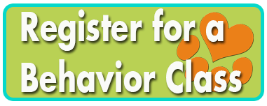 Potty training classes for puppies near me hotsell