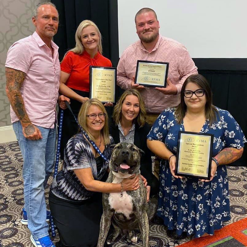 Ethan and team honored by KVMA