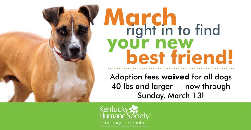 March Right In to Find Your Best Friend - Now through 3/13! - Kyhumane