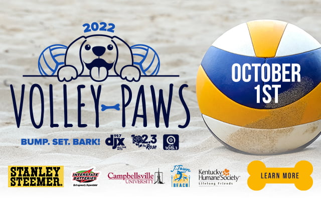 Pooches & Pints Introduces: Volley-Paws!