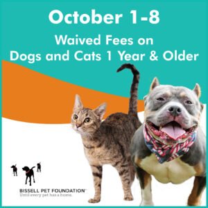 Waived Fees Adoption Promotion