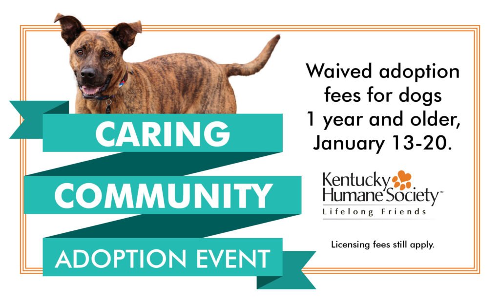 Ky humane society adoptable dogs health nuggets adventist