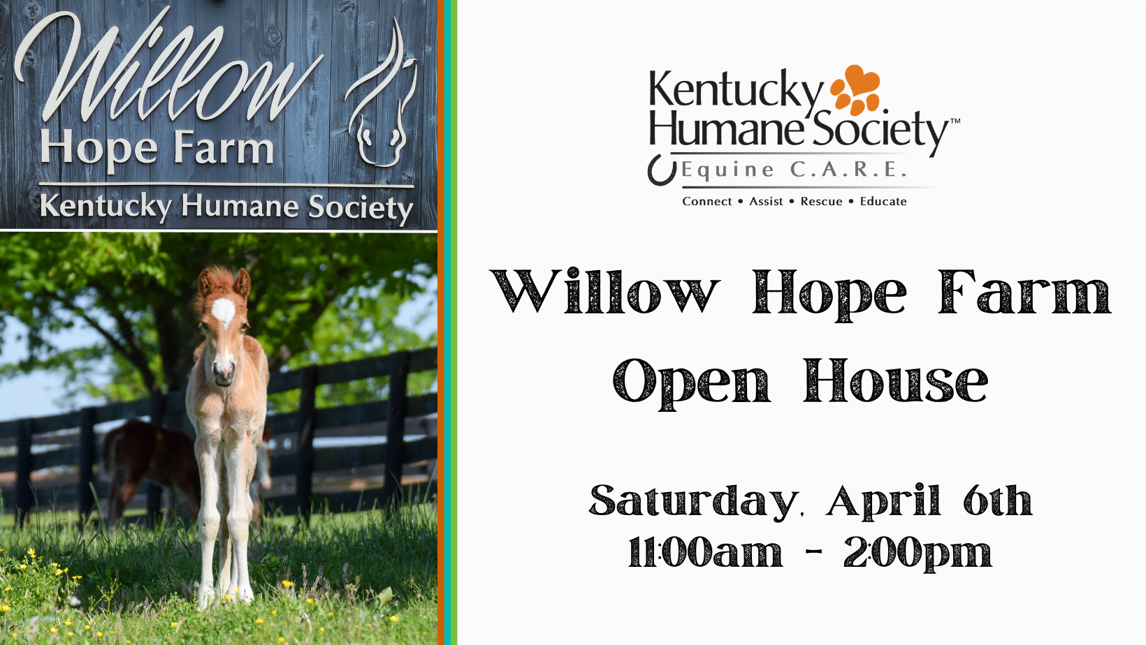 Willow Hope Farm Open House