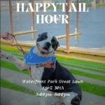 Happy Tail Hour