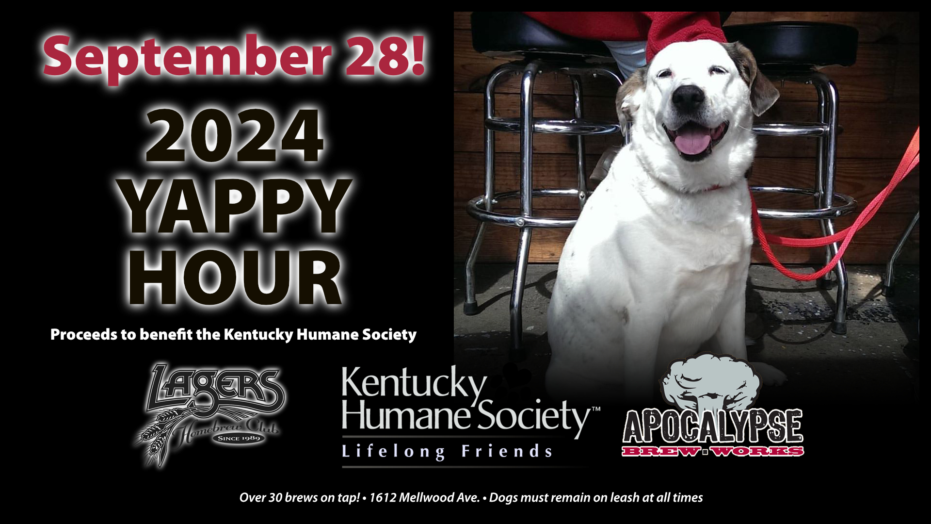 Yappy Hour with Apocalypse Brew Works