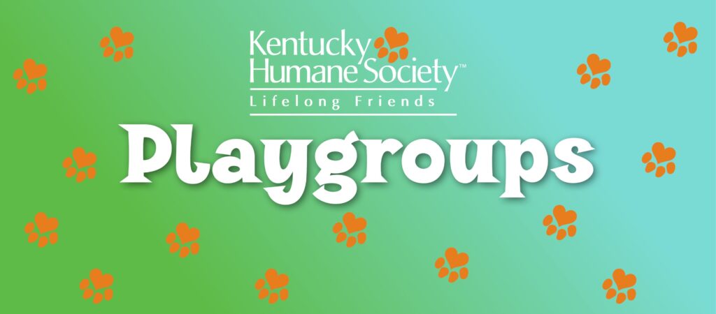 Playgroups