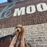 Le Moo Giveback