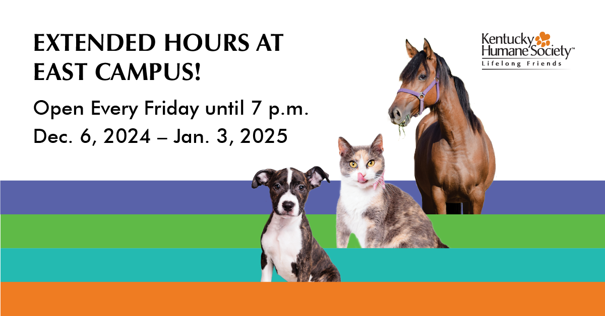 Extended Adoption Hours at East Campus