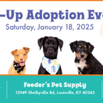 Pup-Up Adoption Event