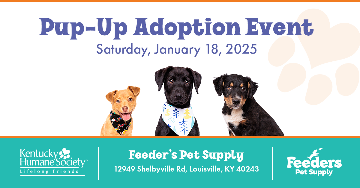 Pup-Up Adoption Event