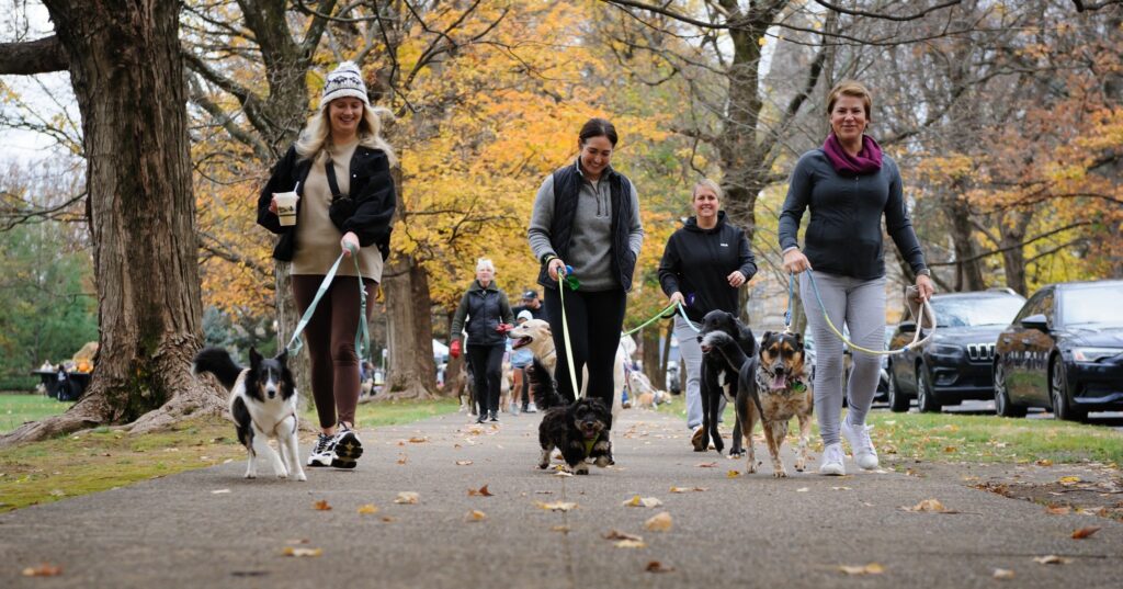 Cave Hill Dog Walk 2025