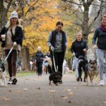 Cave Hill Dog Walk
