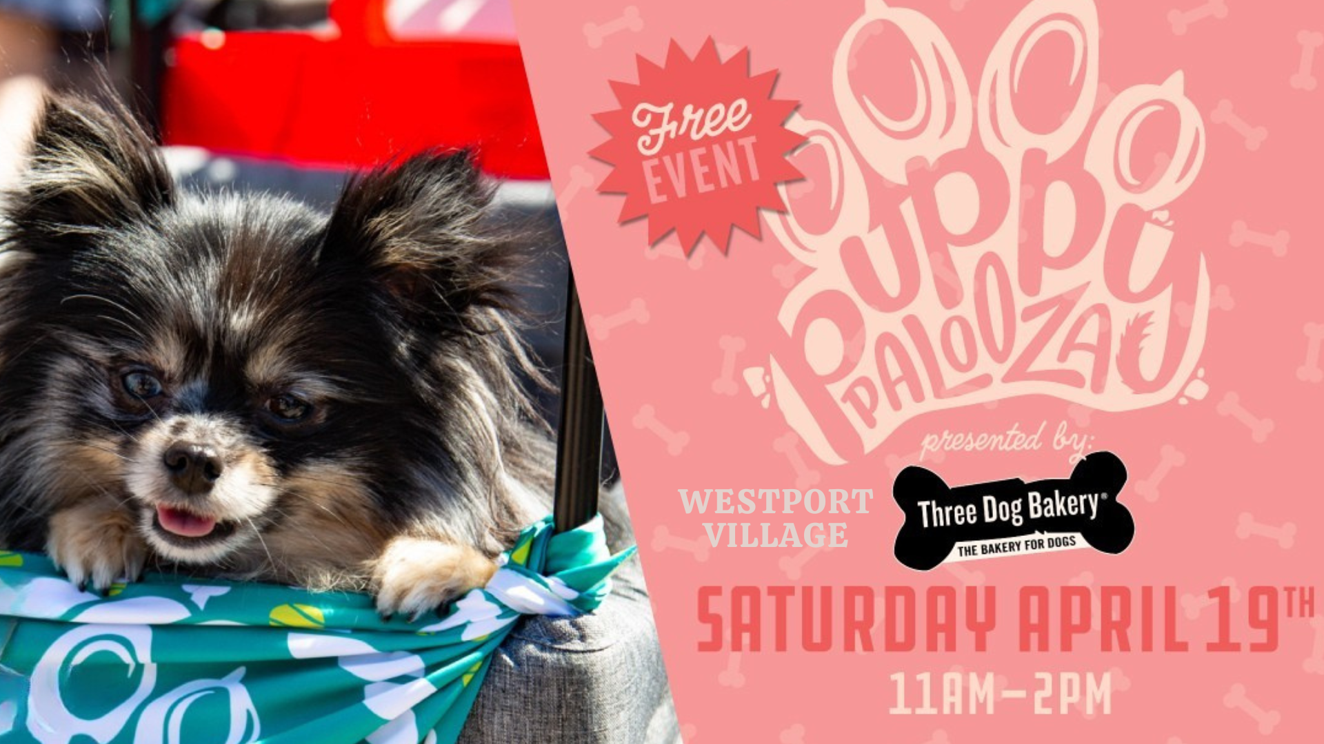Puppy Palooza