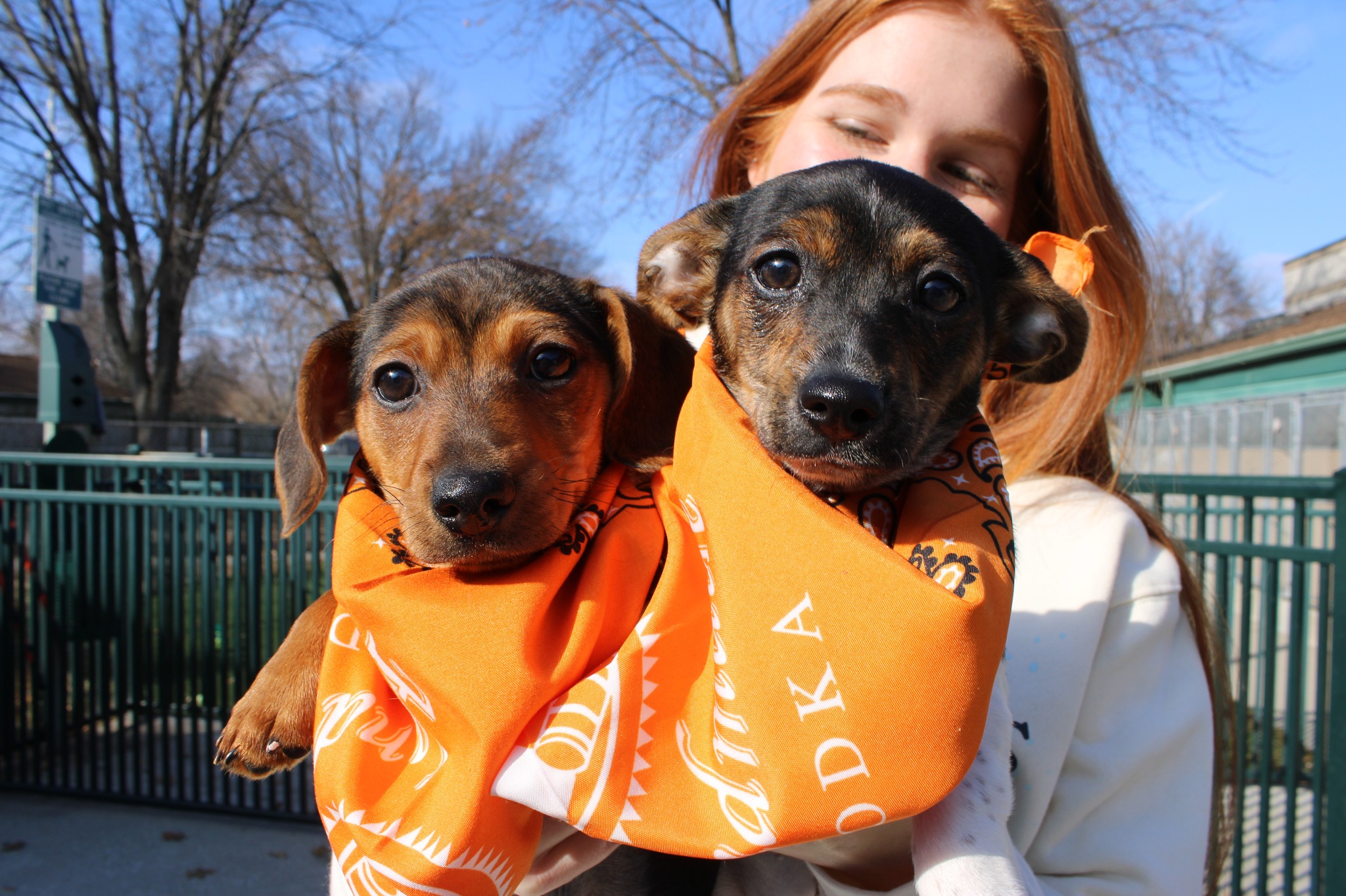 Mules & Mutts - Giveback Day at Noche