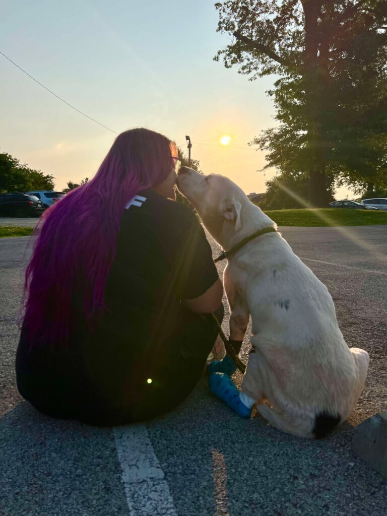 Iris watching sunset