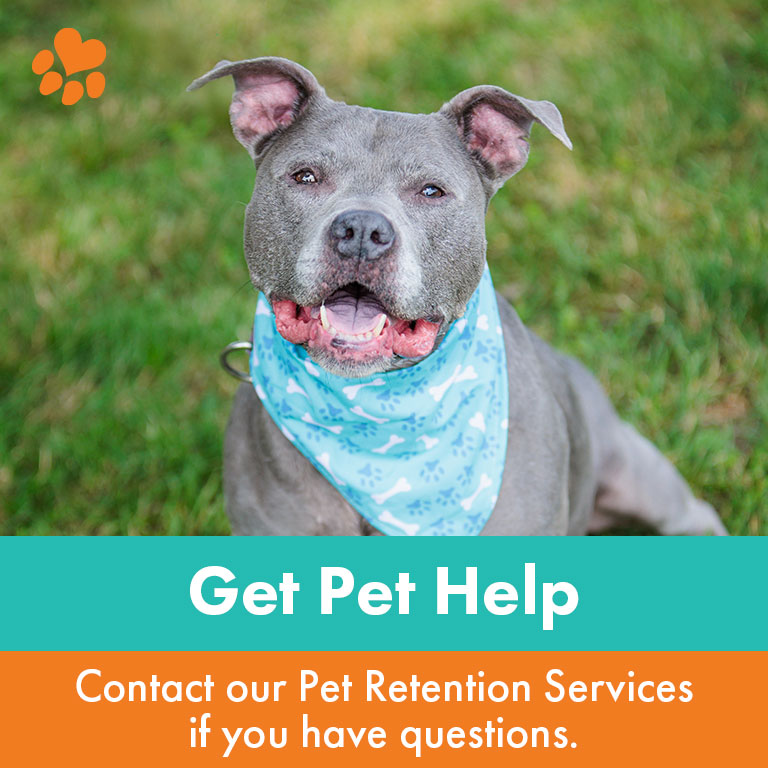 Lost and Found - Kyhumane