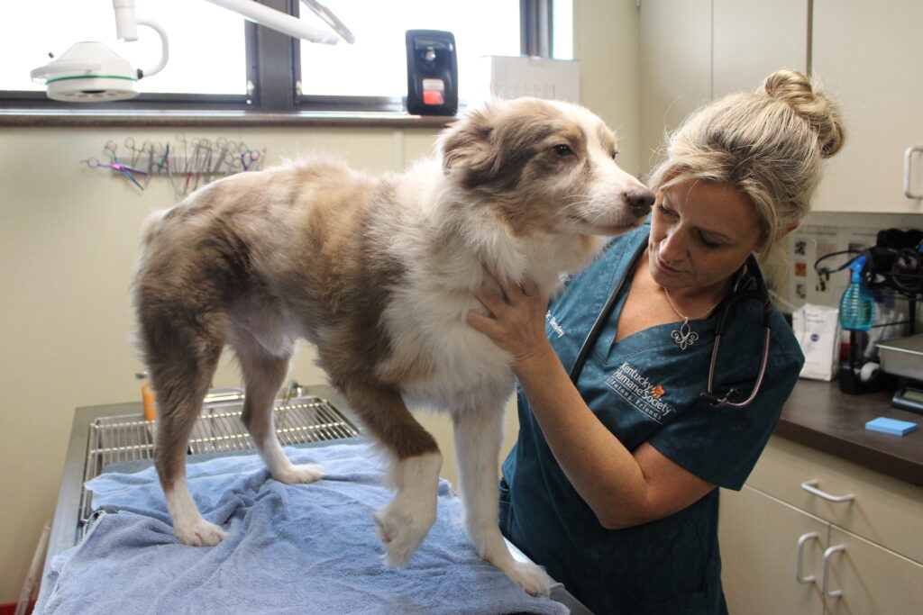 Dr. Bewley with Fletcher.