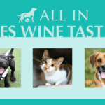 Wine Tasting and Charcuterie at Vines Wine Bar