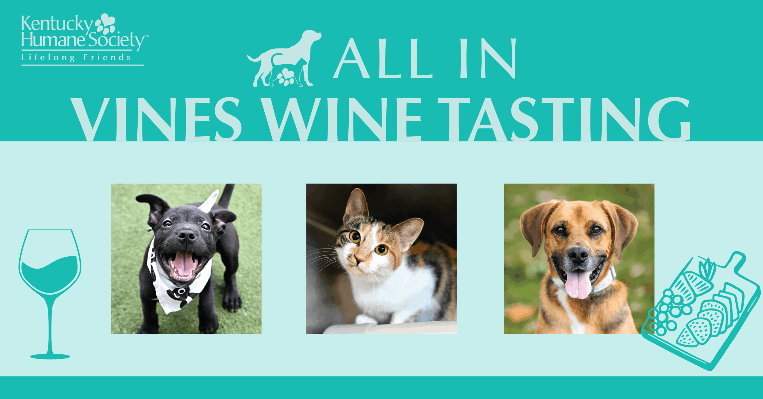 Wine Tasting and Charcuterie at Vines Wine Bar