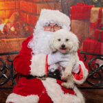 Picture Your Pet With Santa