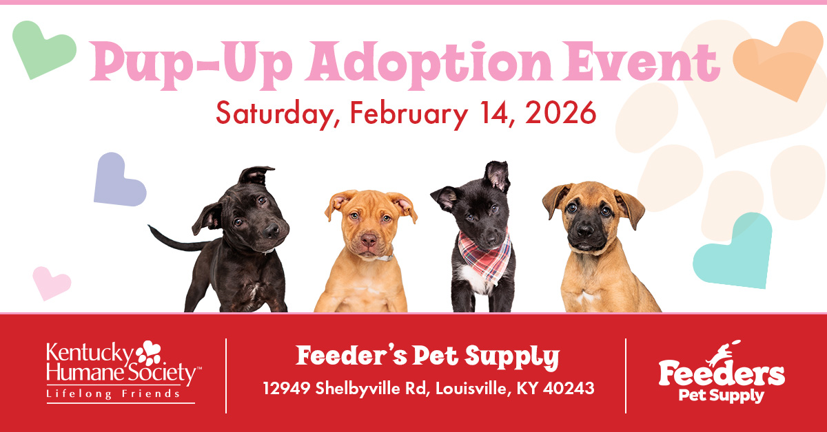 Pup-Up Adoption Event