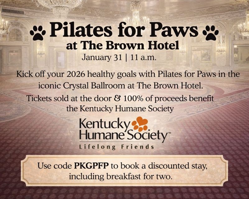 Pilates for Paws at The Brown Hotel