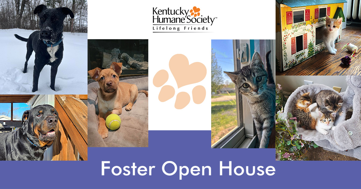Foster Open House