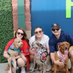 Louisville Bats Dog Days