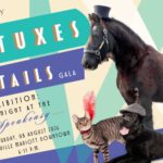 Tuxes & Tails "Pawhibition"