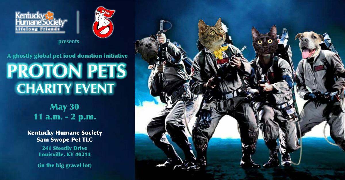 Proton Pets Donation Drive