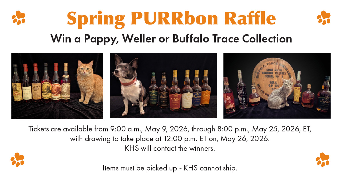 Spring PURR-bon Raffle