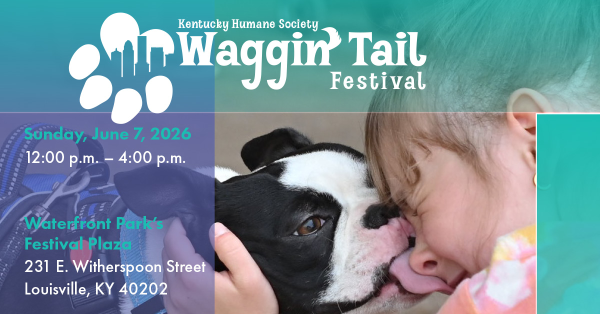 Waggin' Tail Festival