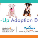 Pup-Up Adoption Event
