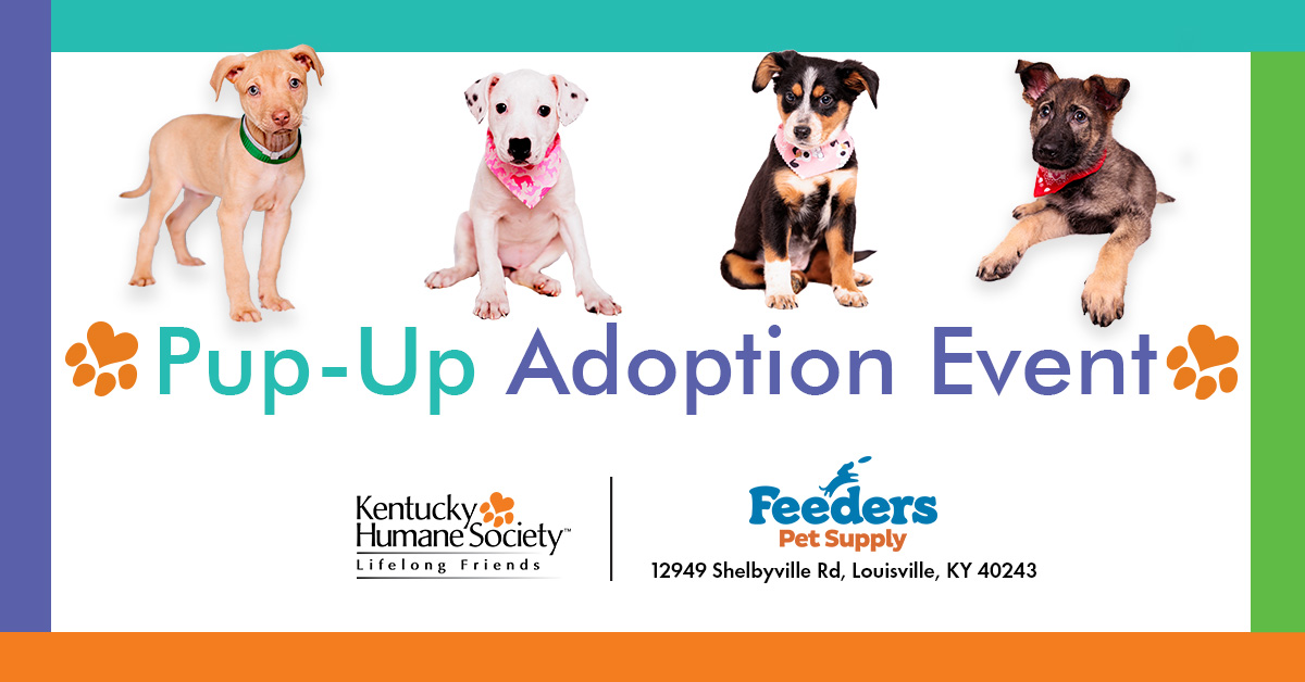 Pup-Up Adoption Event