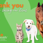Give for Good Louisville
