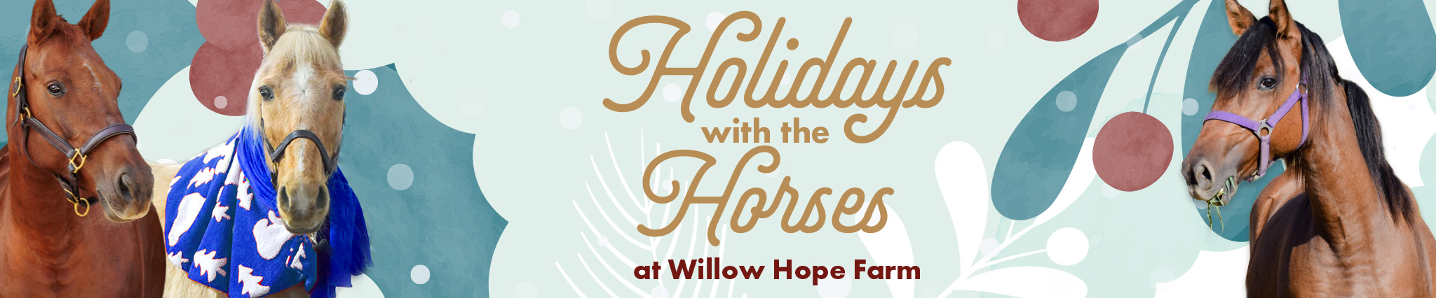 Holidays with the Horses at Willow Hope Farm - Kyhumane